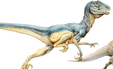 Au fost descoperite primele urme ale unui dinozaur coreean