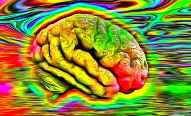 Savanţii au testat droguri psihedelice pe mini-creiere umane, ajungând la rezultate surprinzătoare