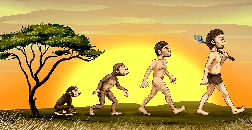 Omul nu se trage din maimuţă! O nouă descoperire infirmă teoriile acceptate despre evoluţia umană