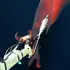 Filmare rară din adâncuri: calamarul-caracatiță cu cele mai mari lumini biologice din lume