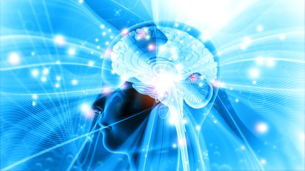 10 descoperiri despre creier care au schimbat modul în care ne înțelegem mintea