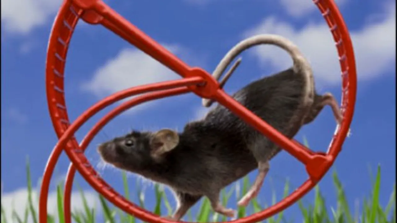 1-mouse-wheel-380x540 