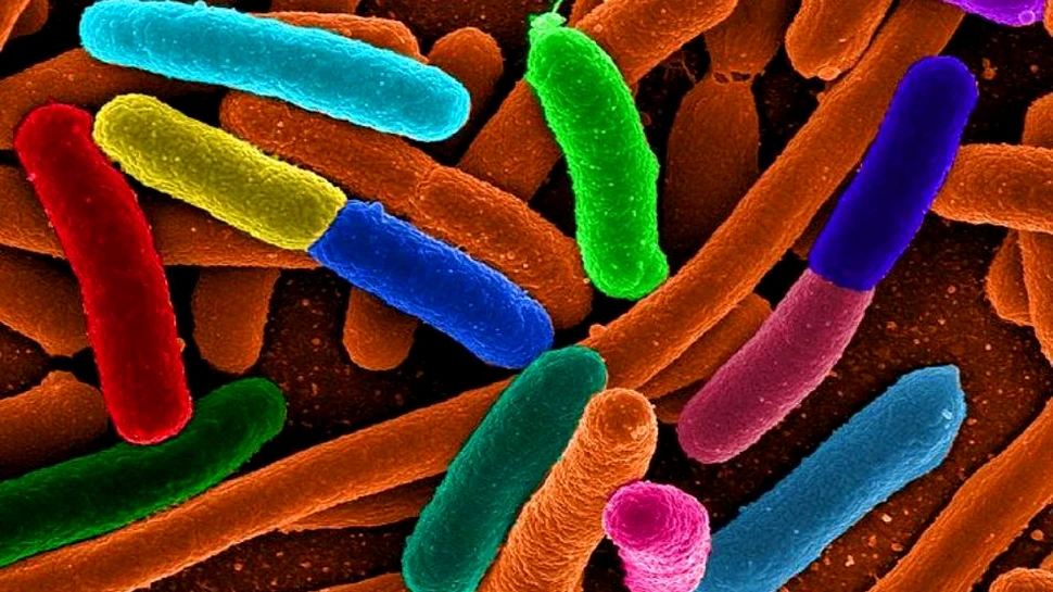 Experimentul „Jurassic Park în laborator”