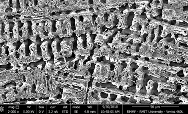 O nouă suprafață asemenea unui labirint ucide bacteriile în 2 minute, adică de 120 de ori mai rapid decât cuprul
