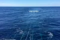 Un rezervor uriaș de apă, descoperit adânc sub scoarța Pământului