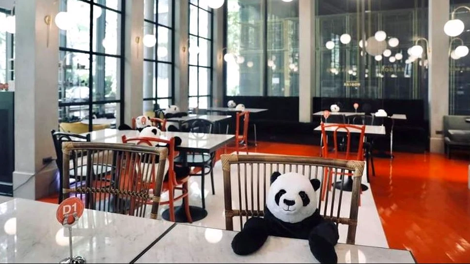 Urşii panda ajută la respectarea măsurilor de distanţare socială în Thailanda