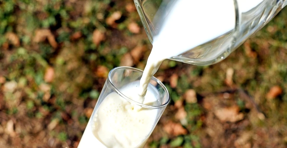 Care sunt alternativele vegetale la laptele de vacă