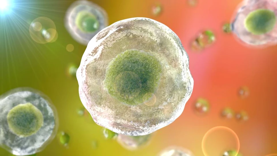 Naşterea celui de al treilea bebeluş al cărui cod genetic a fost editat creează dileme în lumea ştiinţifică