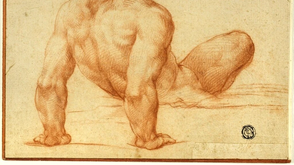 Un desen misterios s-a dovedit a fi schița lui Michelangelo pentru Capela Sixtină