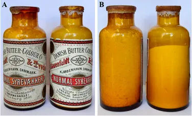 Ce au găsit cercetătorii într-un subsol vechi de 130 de ani din Danemarca?