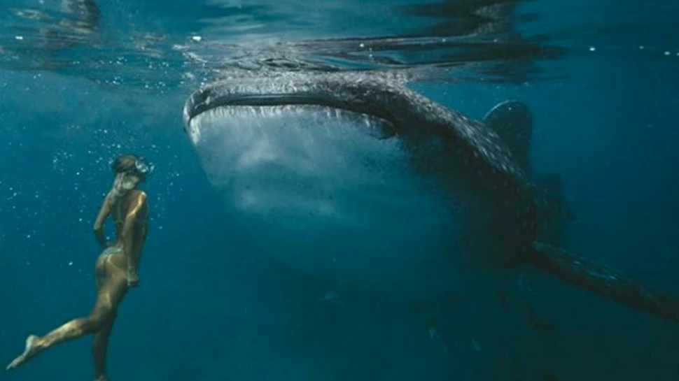 Un cuplu a câştigat 9000$ pentru o singură poză. Care este secretul succesului