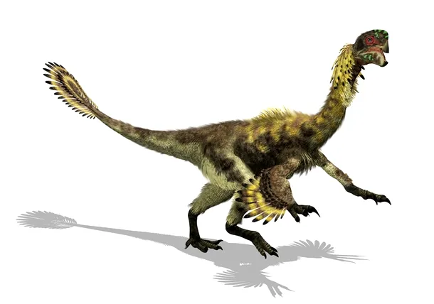 Penele dinozaurilor serveau altor scopuri decât zborul, cel mai probabil termoreglării şi paradelor nupţiale.