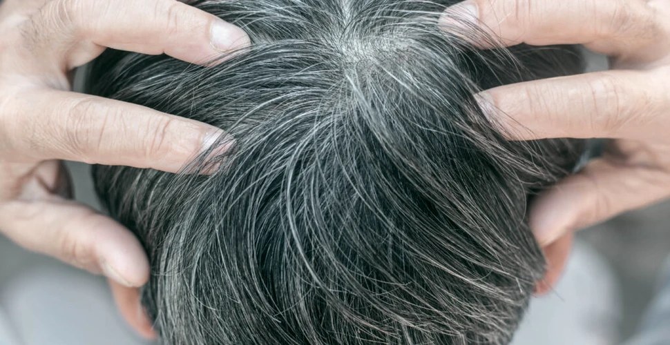 Cercetătorii ar fi descoperit de ce albește părul