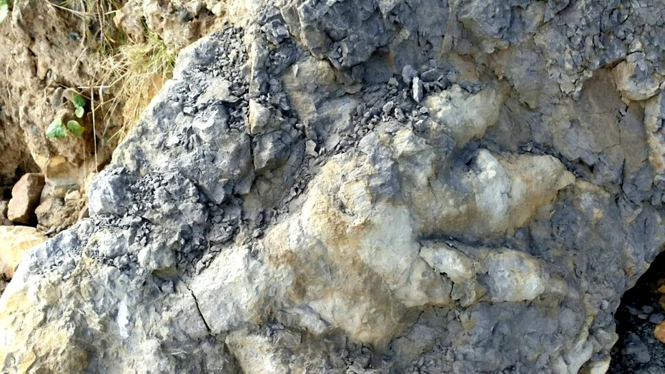 O urmă de dinozaur găsită în Regatul Unit a doborât toate recordurile