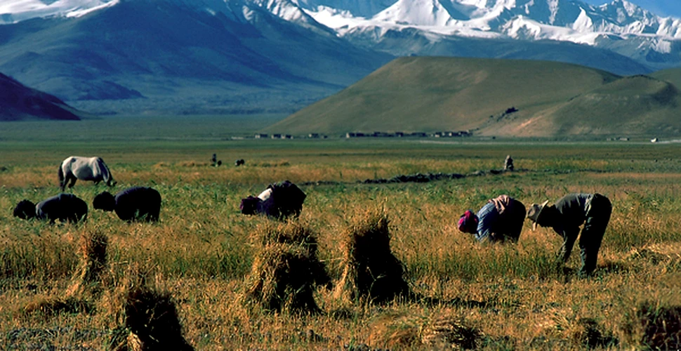 Cho Oyu, zeita tibetana – Alex Gavan