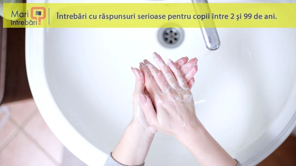 De ce spălatul pe mâini funcţionează împotriva coronavirusului şi a altor patogeni?