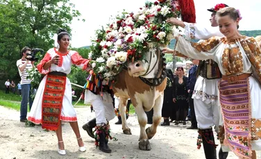 Cele mai interesante tradiţii româneşti: „boul înstruţat” şi alte obiceiuri populare