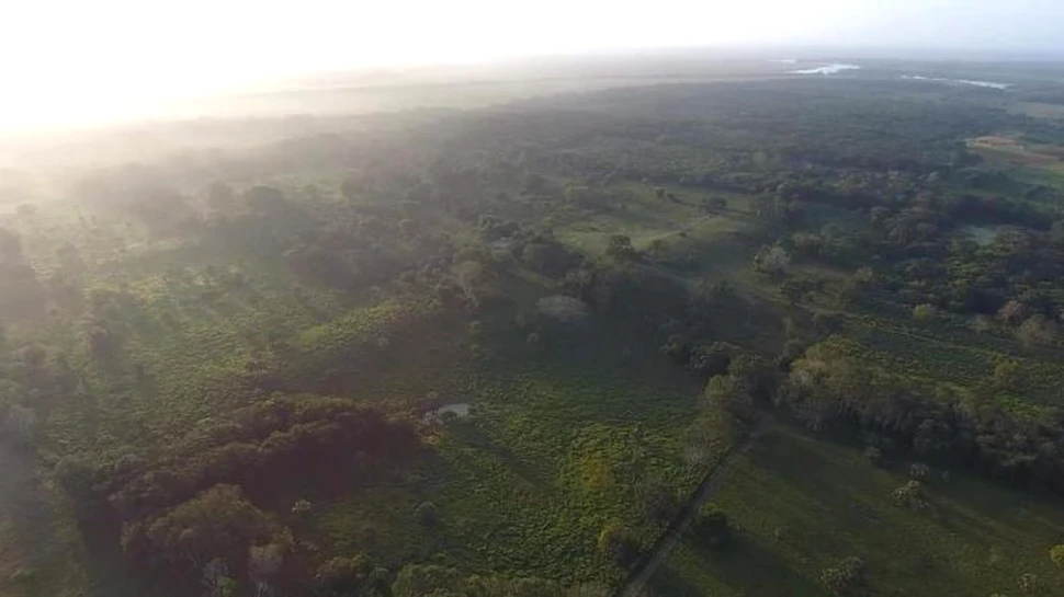 Sute de situri antice ale mayașilor, ascunse sub Mexicul de azi, dezvăluie o influență misterioasă