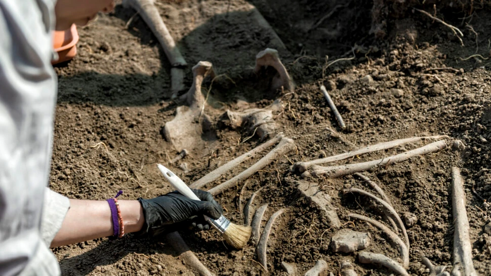 Un peisaj antic dezvăluie rămășițele oamenilor care au trăit acum 100.000 de ani