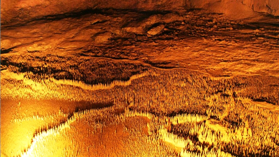 Peștera celor 100.000 de soldați: „Armata” unică în lume, care nu poate fi explicată