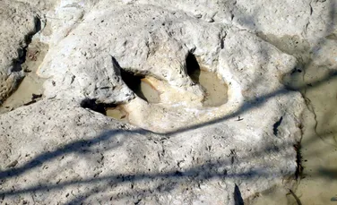 Cum este posibil ca urmele de dinozaur să se fosilizeze și să reziste milioane de ani?