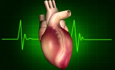 Două suplimente nutritive ar putea preveni decesul cardiovascular