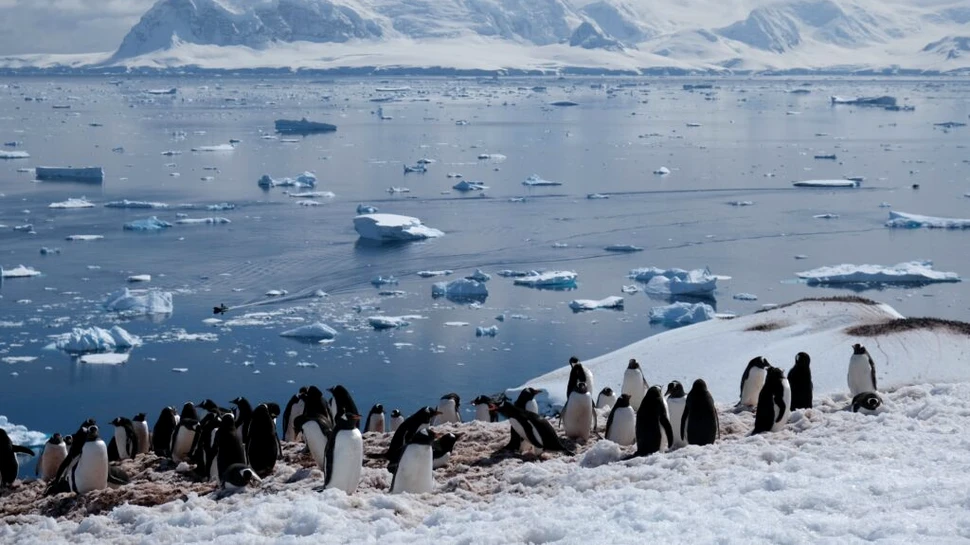 Cercetătorii au descoperit o lume necunoscută ascunsă în apele Antarcticii