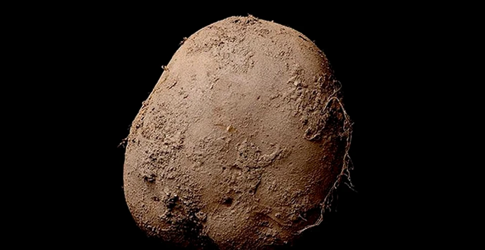 Cum arată ”cartoful” de 1 milion de euro