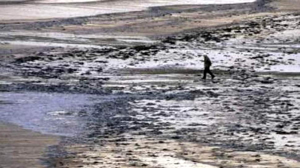 Mareea neagra, incotro?