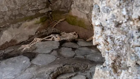 Au fost descoperite noi victime ale dezastrului de la Pompeii