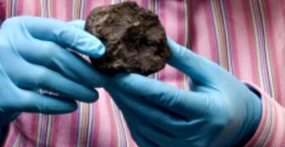 Secretele formarii sistemul solar se afla intr-un meteorit