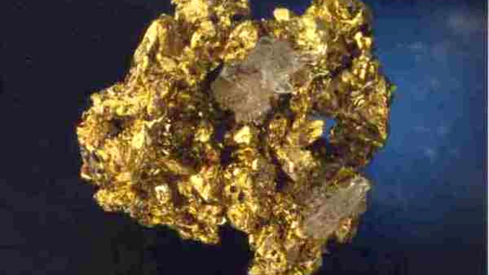 Bacteria care gaseste aur si-ti da de stire