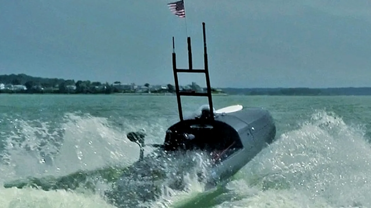 1-blackfish 