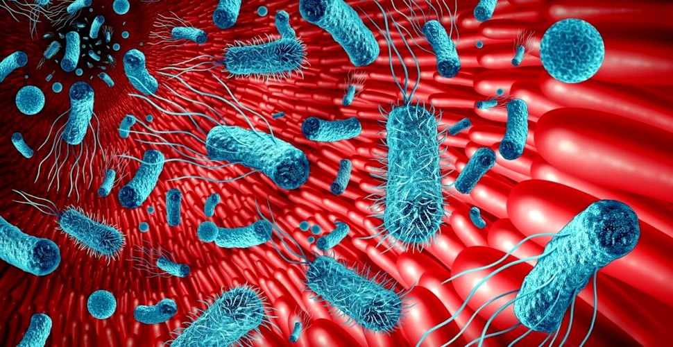 Microbii intestinali pot influența riscul și gravitatea unui atac cerebral