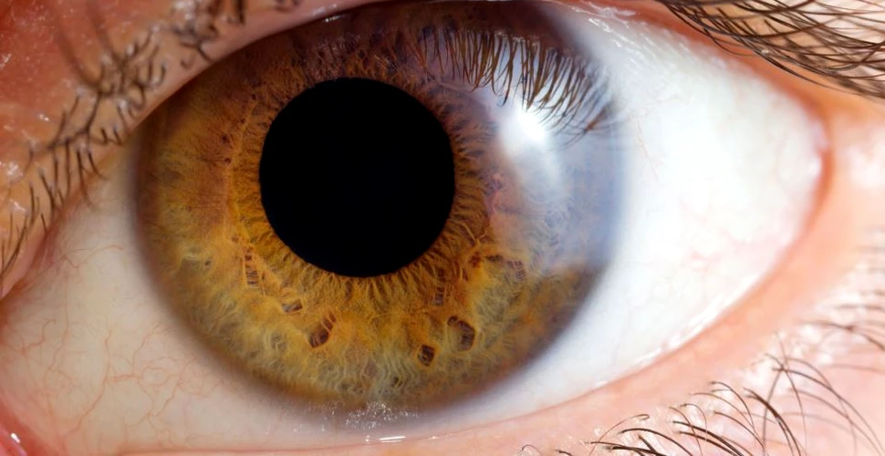 Ar putea fi acesta tratamentul împotriva orbirii? O tehnică revoluţionară a restabilit vederea a doi pacienţi