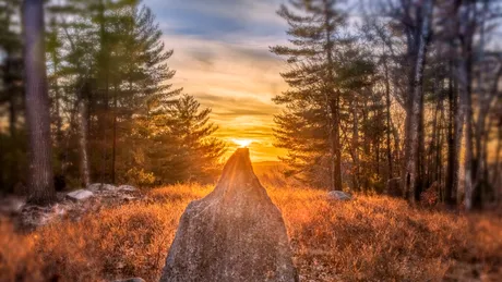 Tradiții și ritualuri pentru a sărbători solstițiul de iarnă