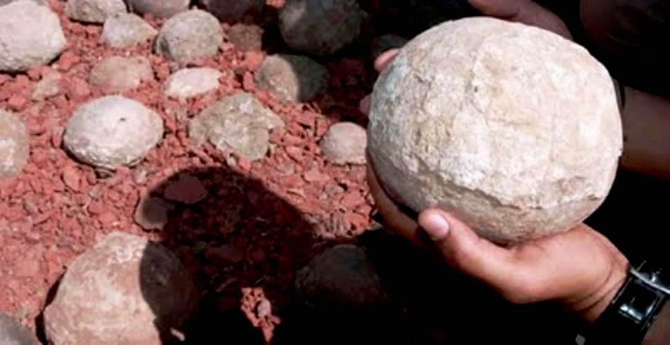 Sute de cuiburi cu oua de dinozauri au fost descoperite in India