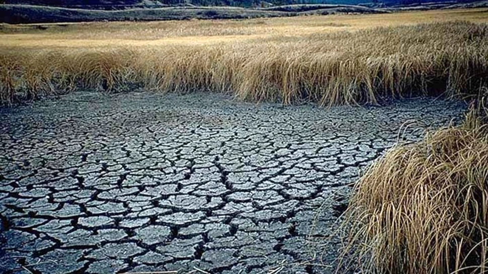 2010 – anul cel mai fierbinte