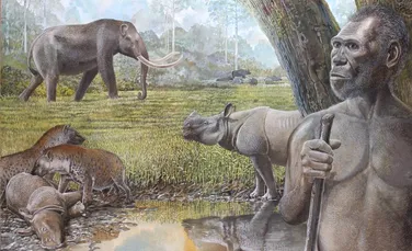 Ascensiunea și declinul pădurilor tropicale au declanșat dispariția oamenilor timpurii și a megafaunei din Asia