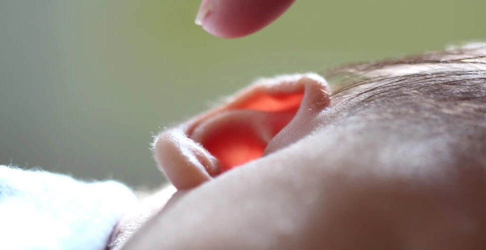 Cercetătorii susțin că au găsit un tratament care poate inversa pierderea auzului