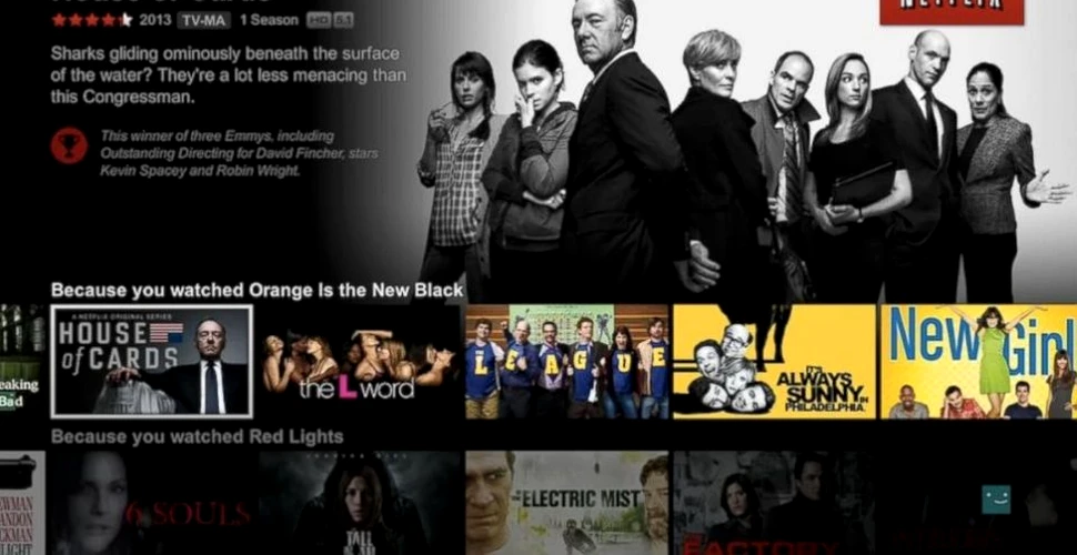 Netflix vrea să traducă tot conţinutul din România până la sfârşitul anului
