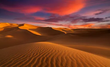 Test de cultură generală. Cum se numește vântul uscat și fierbinte care străbate deșertul Sahara?