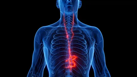 Studiu: Cum ne ajută stimularea nervului vag, combinată cu meditația?