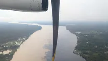 O specie uriașă observată din spațiu riscă deja să dispară