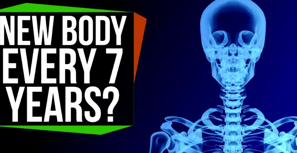 Corpul nostru se regenerează la fiecare 7 ani? –  FOTO+VIDEO