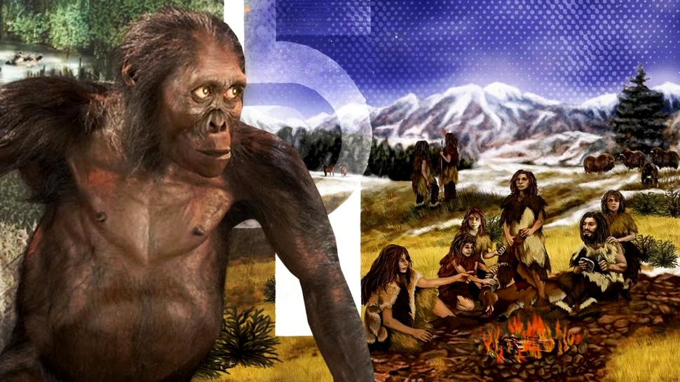 Top 10 specii de hominizi care au dispărut de-a lungul timpului