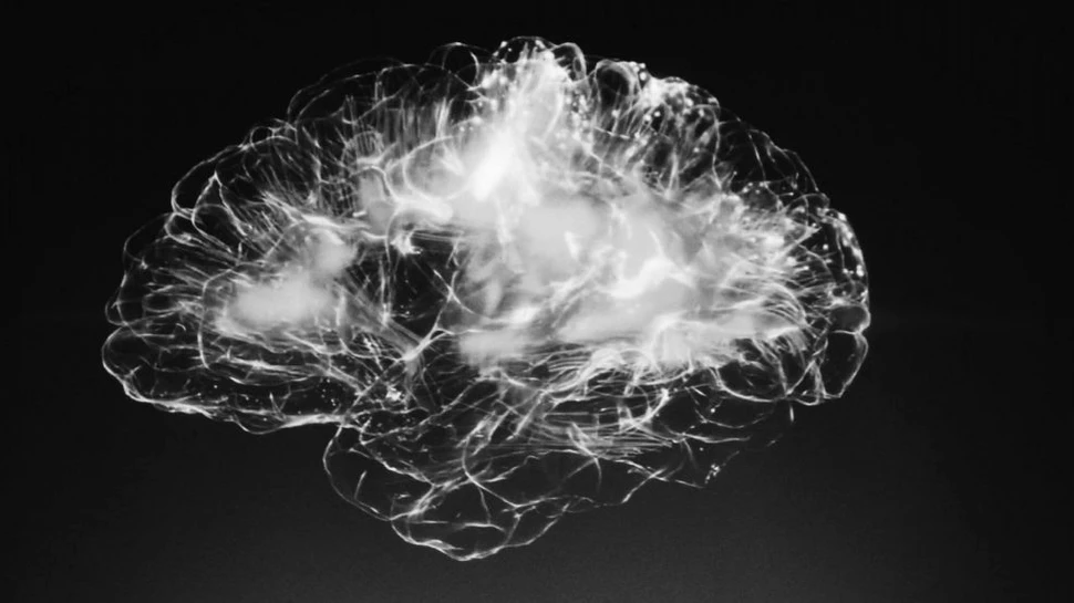 Cum separăm factualul de posibil? Noi cercetări arată impactul pe care îl au cuvintele alese asupra creierului