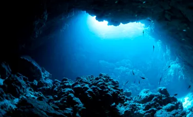 O expediție în adâncurile oceanului va confirma dacă „oxigenul întunecat” există cu adevărat