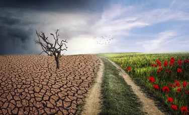 Neutralitate climatică până în 2050. Parlamentul European a aprobat Legea climei