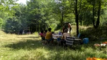 Petrecăreții de 1 mai au distrus aproape jumătate dintre arborii plantați într-o zonă din Oradea